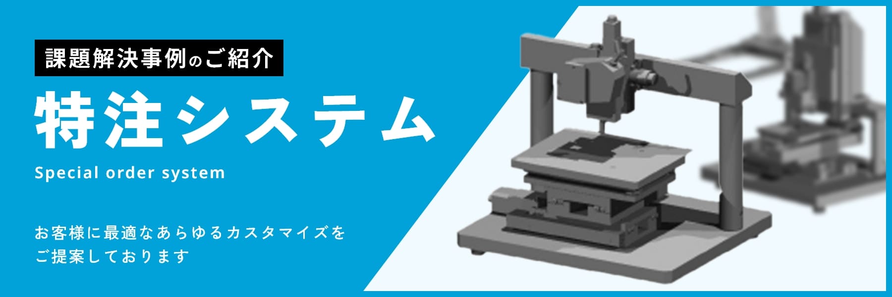 特注システム